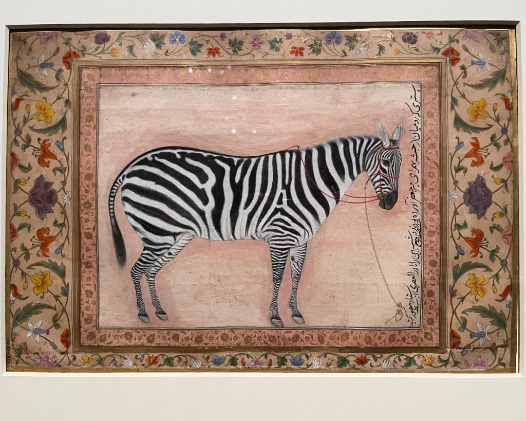 Mughal Zebra Painting